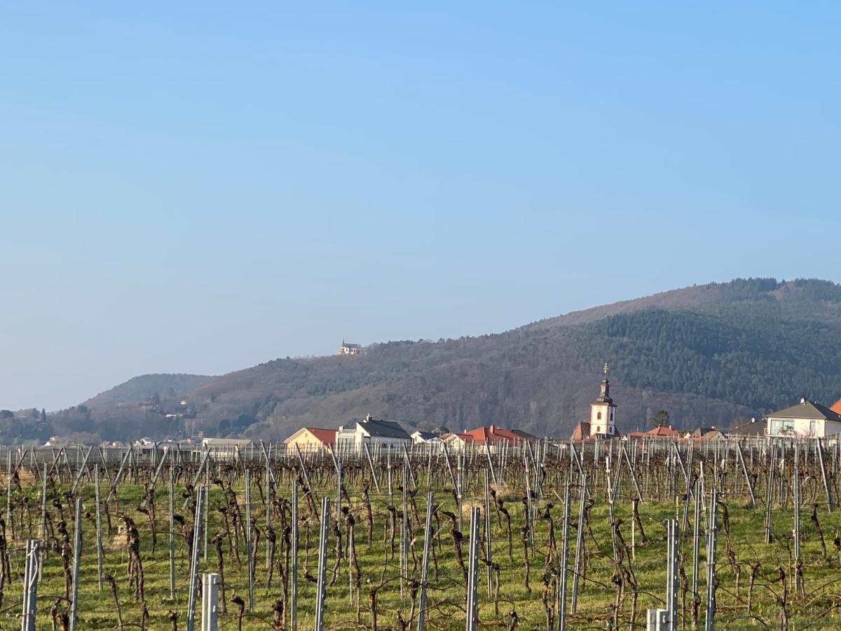 Ferienhaus Pfaelzer Wald Weyher Dış mekan fotoğraf