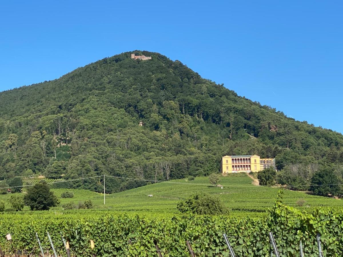 Ferienhaus Pfaelzer Wald Weyher Dış mekan fotoğraf