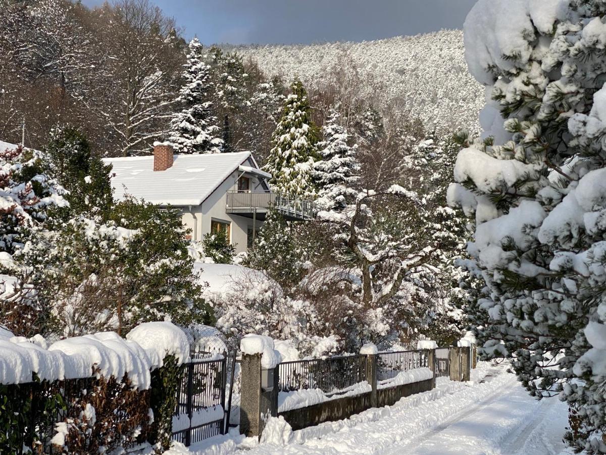 Ferienhaus Pfaelzer Wald Weyher Dış mekan fotoğraf