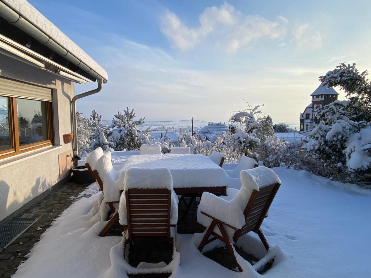 Ferienhaus Pfaelzer Wald Weyher Dış mekan fotoğraf