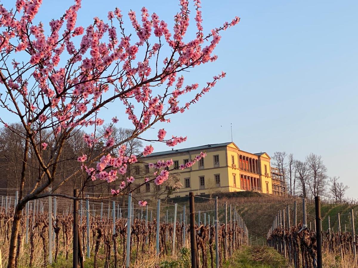 Ferienhaus Pfaelzer Wald Weyher Dış mekan fotoğraf